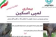 توصیه های بهداشتی  بیماری لمپی اسکین